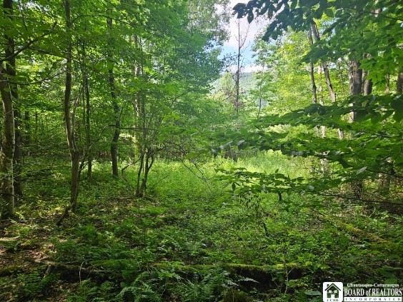 5162 Whig Street, Little Valley, New York image 17