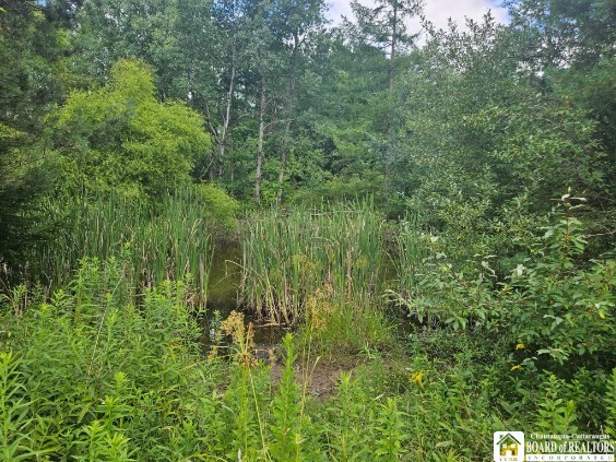 5162 Whig Street, Little Valley, New York image 13