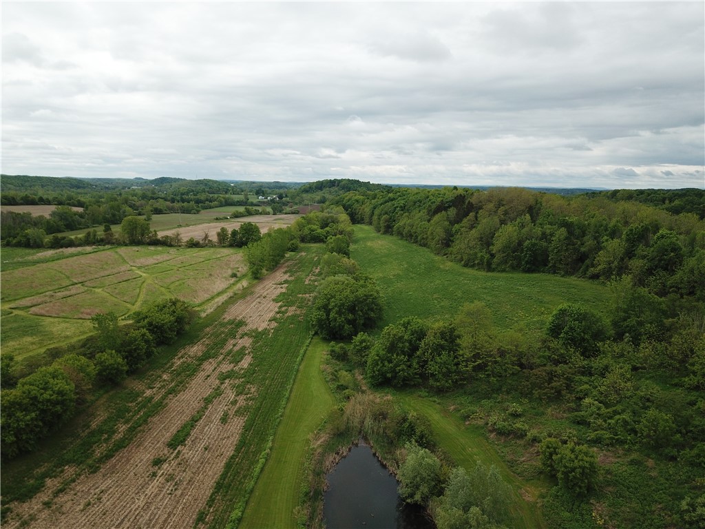 5120 Tellier Road, Palmyra, New York image 8