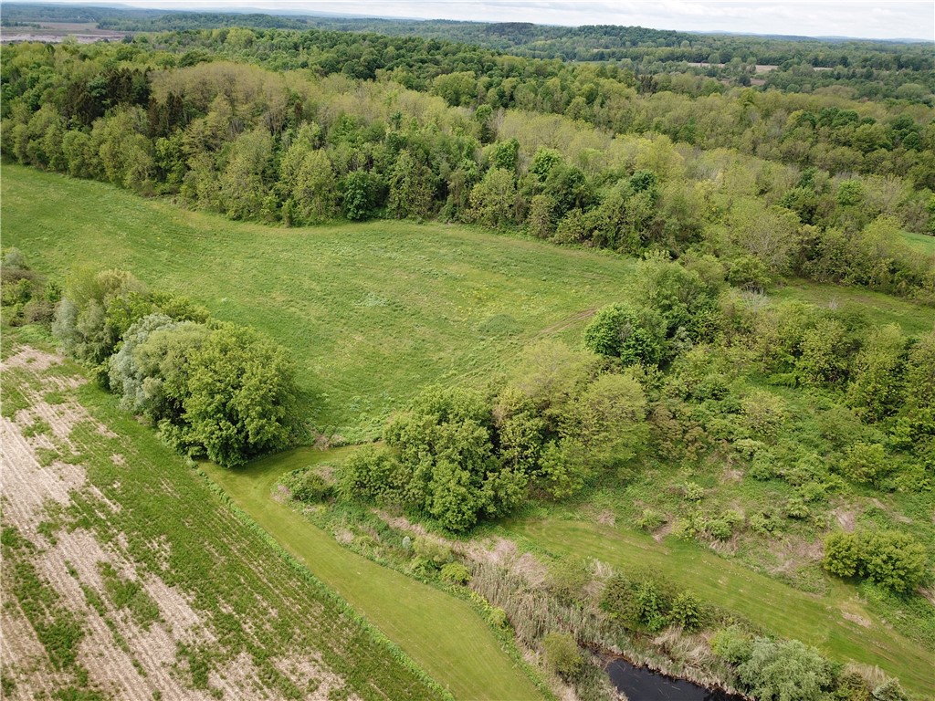 5120 Tellier Road, Palmyra, New York image 14