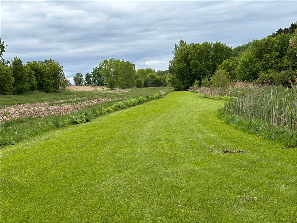5120 Tellier Road, Palmyra, New York image 33