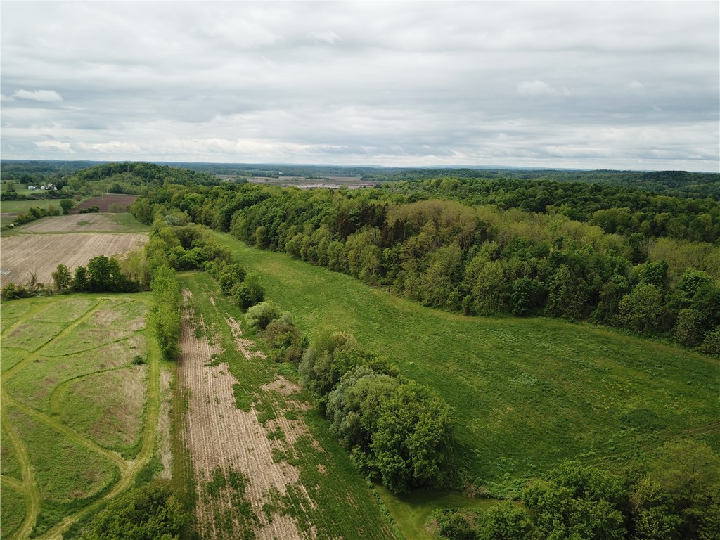 5120 Tellier Road, Palmyra, New York image 16