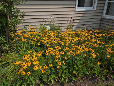 Tiny photo for 95 Country Estates Dr. EST, Horseheads, NY 14845 (MLS # R1705687)