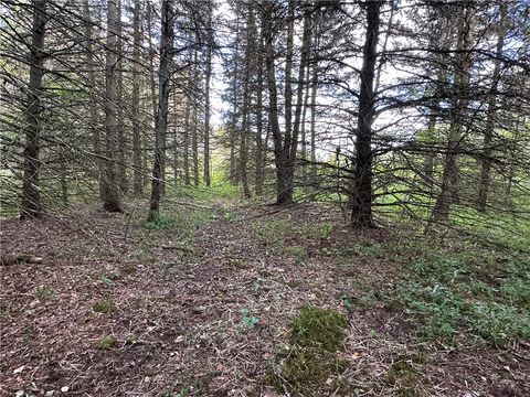 Vacant Land For Sale - LOT 7 Mcandrews Rd<br/> Allegany County, Alfred, NY 14806