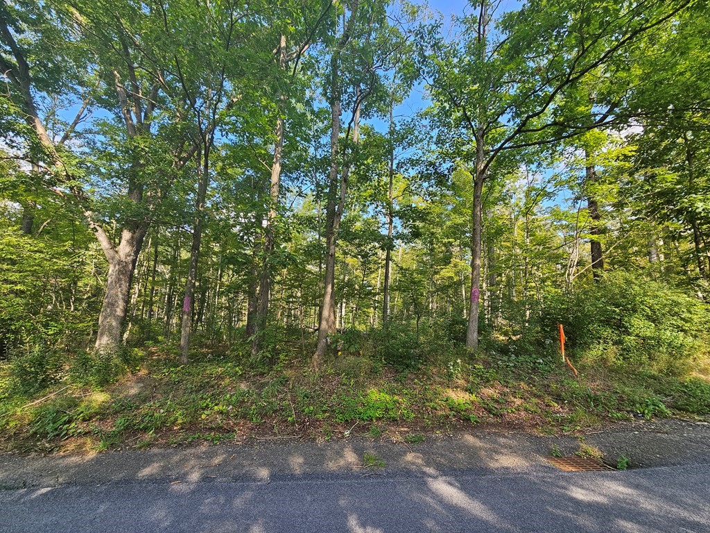 676 Steege Hill Road, Big Flats, New York image 3