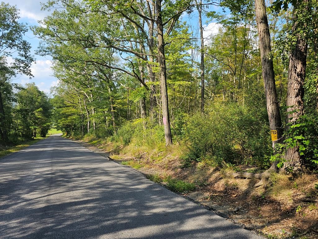 676 Steege Hill Road, Big Flats, New York image 7