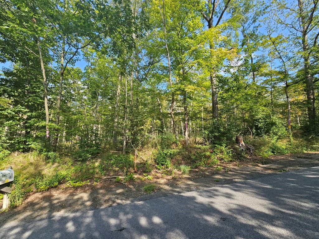 676 Steege Hill Road, Big Flats, New York image 2