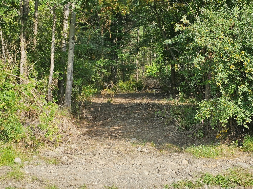 676 Steege Hill Road, Big Flats, New York image 4