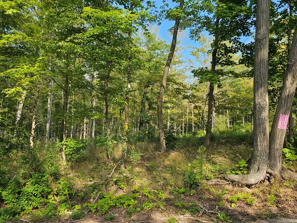 676 Steege Hill Road, Big Flats, New York image 5