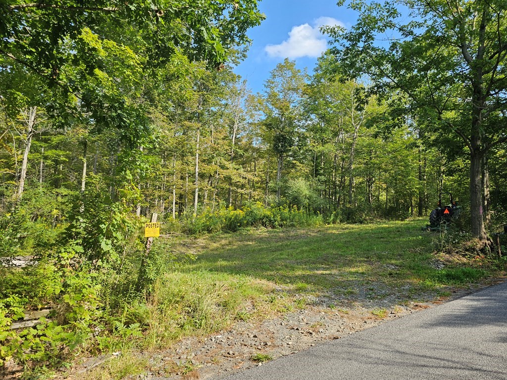 676 Steege Hill Road, Big Flats, New York image 1