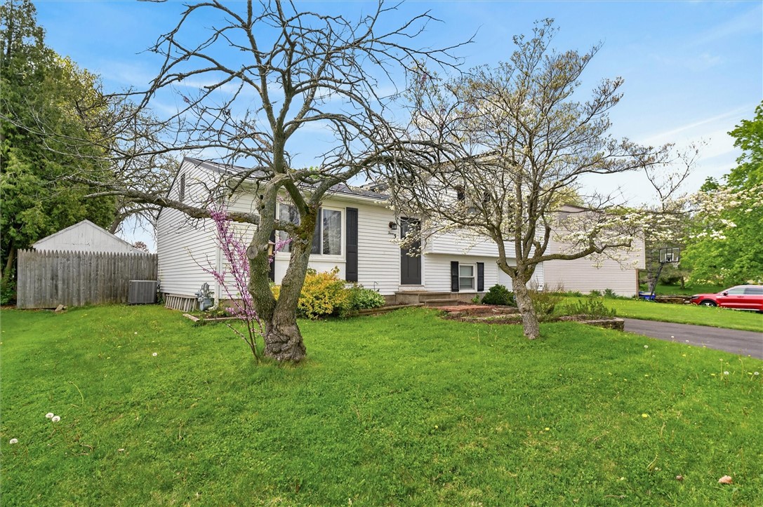 3 Barringer Drive
