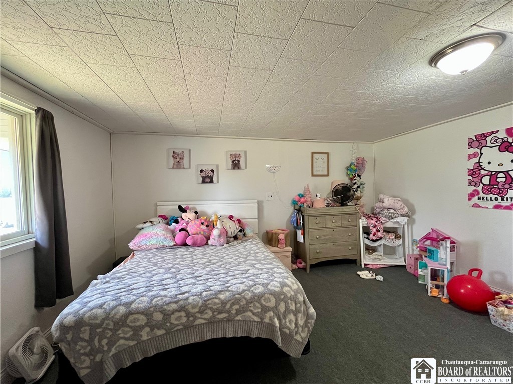 206 Mill Street, Dayton, New York image 11