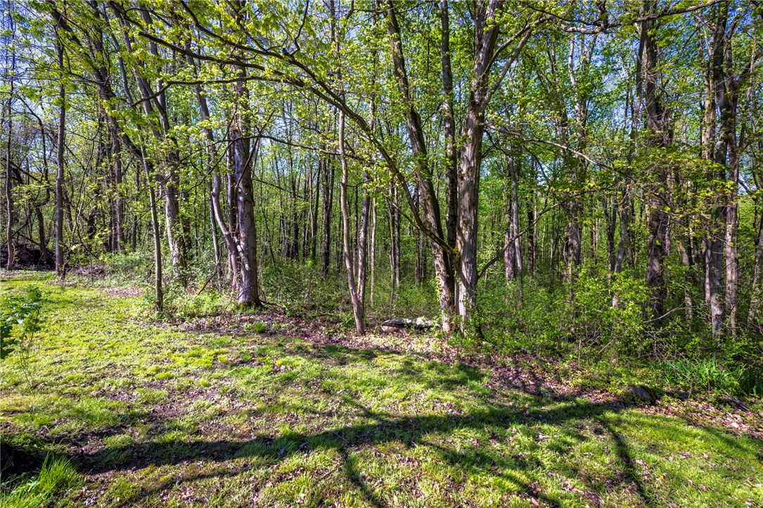 986 Caroline Road, Waterloo, New York image 49