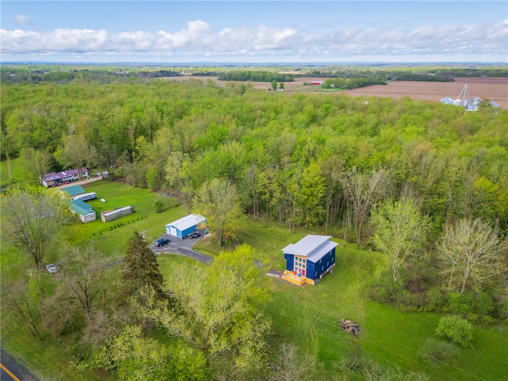 986 Caroline Road, Waterloo, New York image 46