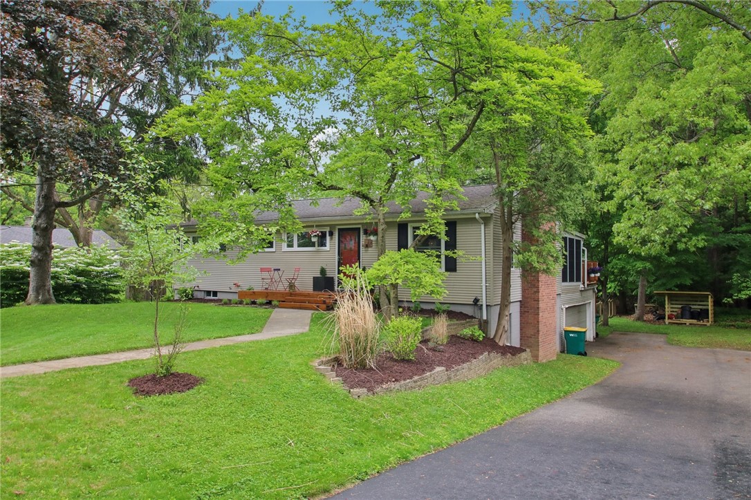 33 Drury Lane, Brighton, New York image 3