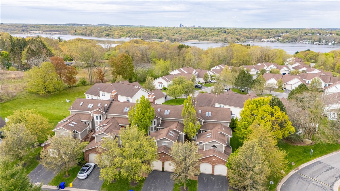 10 mountain ash trail
