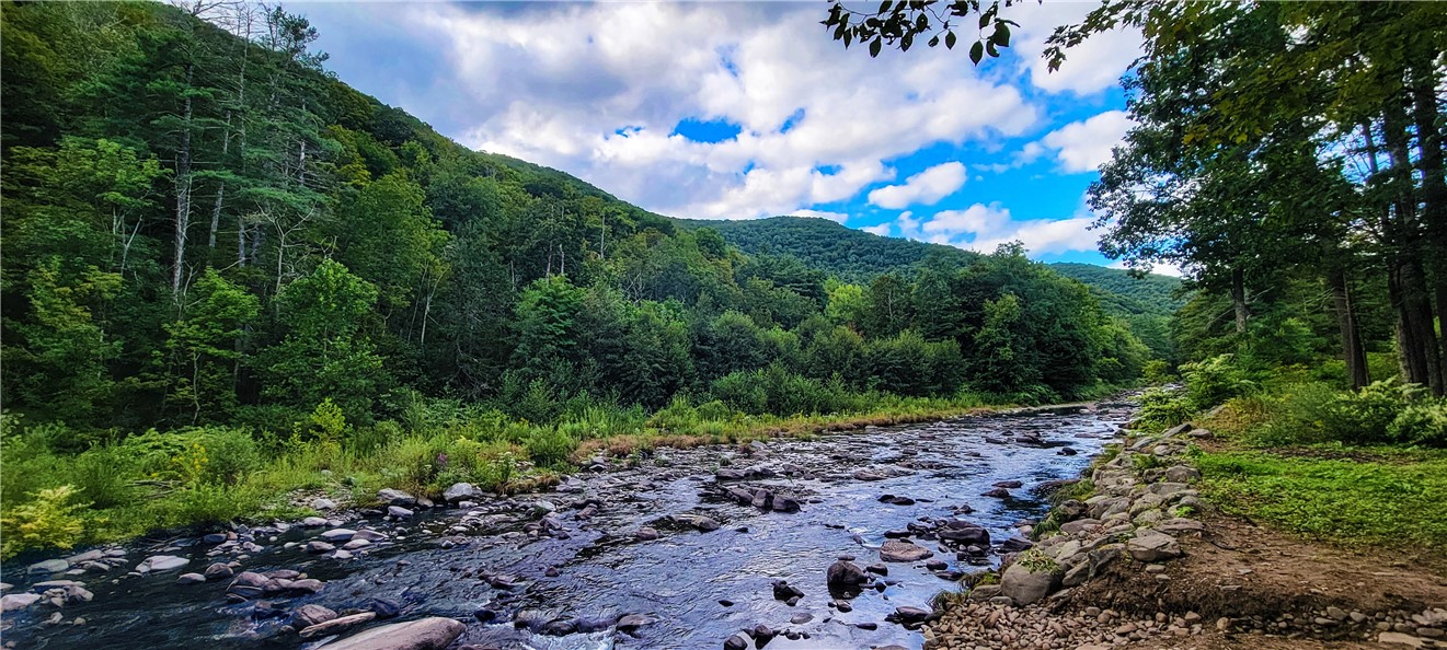 187 State Route 214, Shandaken, New York image 13