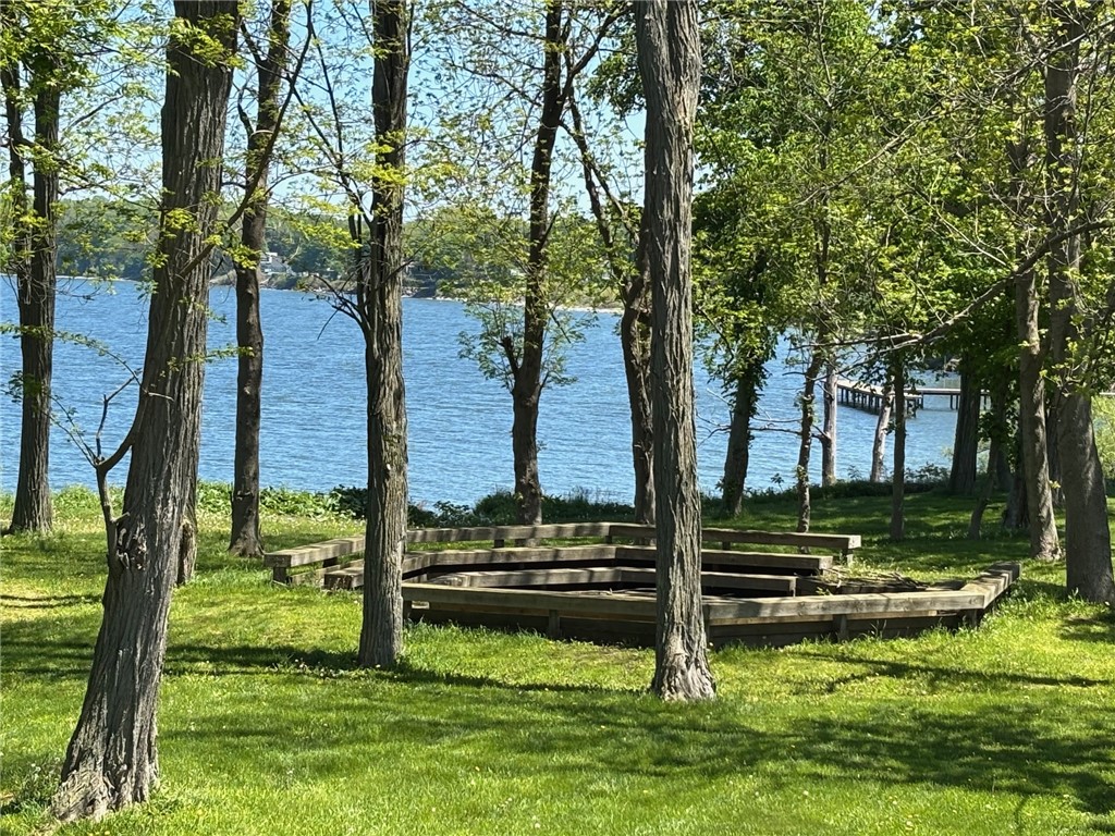 236 Danielle Lane, Kendall, New York image 38