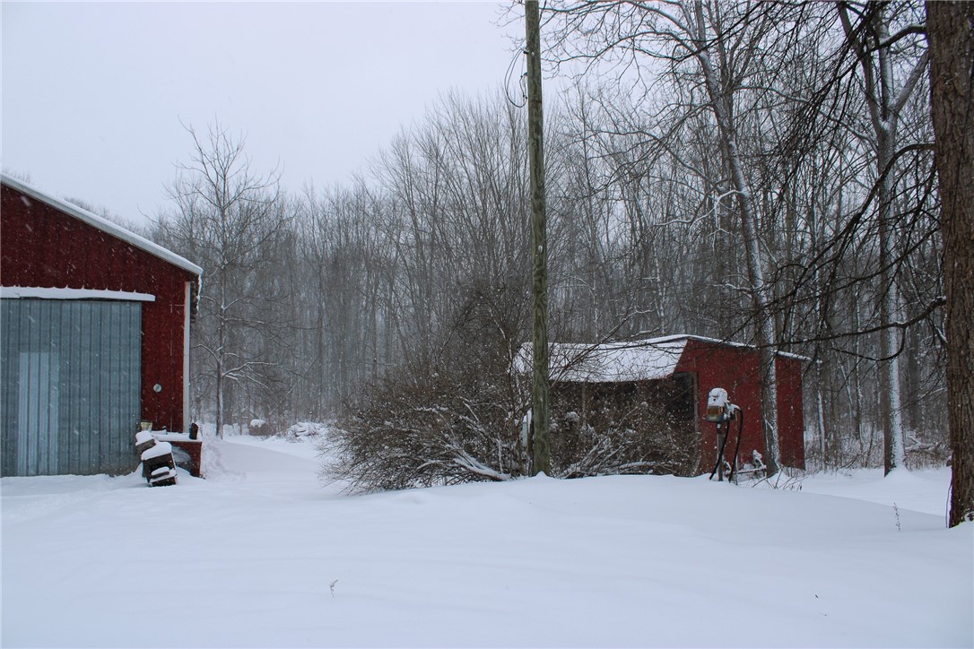 1911 Number 39 Road, Savannah, New York image 41