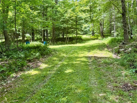 Tiny photo for 253 Davis Hollow Road, Andes, NY 13731 (MLS # R1701282)
