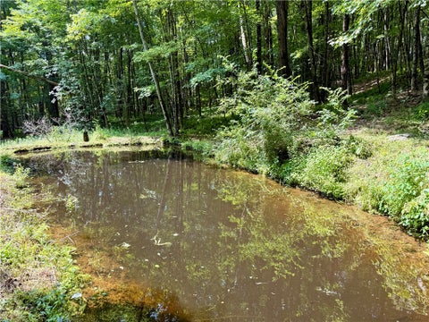 Tiny photo for 253 Davis Hollow Road, Andes, NY 13731 (MLS # R1701282)