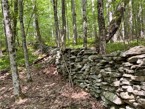 Tiny photo for 253 Davis Hollow Road, Andes, NY 13731 (MLS # R1701282)