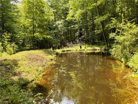 Tiny photo for 253 Davis Hollow Road, Andes, NY 13731 (MLS # R1701282)