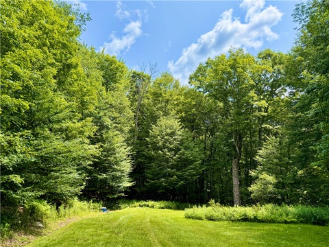 Tiny photo for 253 Davis Hollow Road, Andes, NY 13731 (MLS # R1701282)
