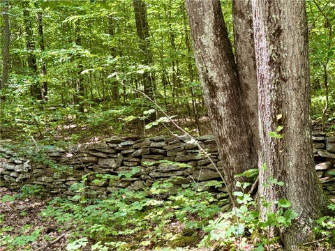 Tiny photo for 253 Davis Hollow Road, Andes, NY 13731 (MLS # R1701282)