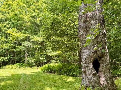 Tiny photo for 253 Davis Hollow Road, Andes, NY 13731 (MLS # R1701282)