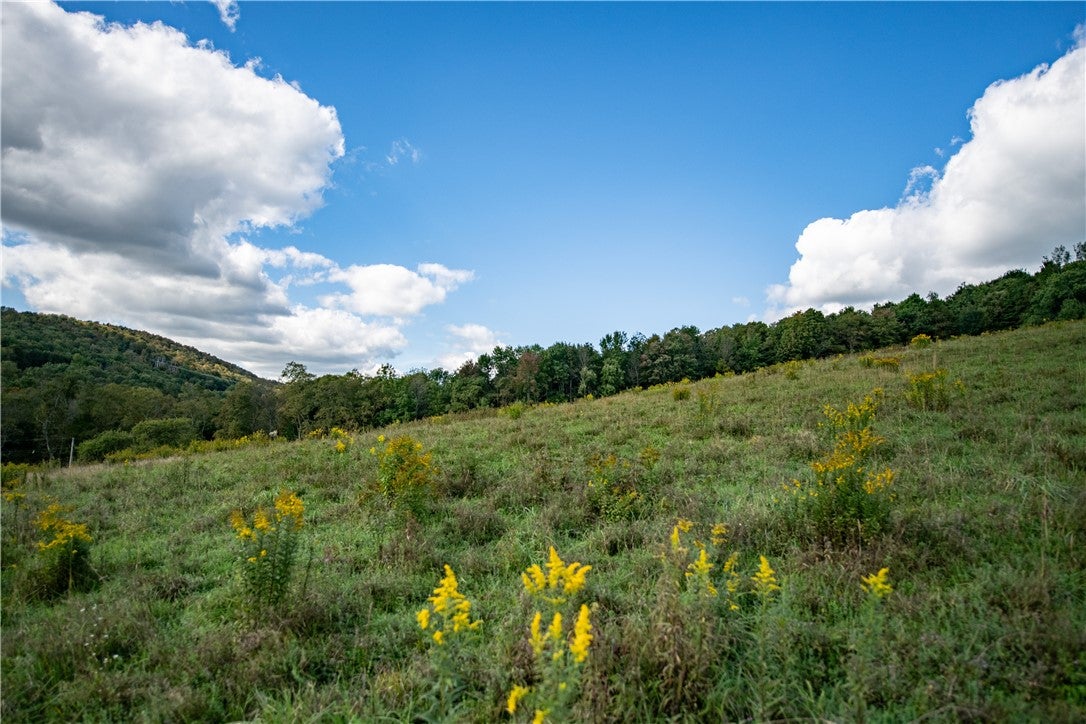 1352 County Highway 16