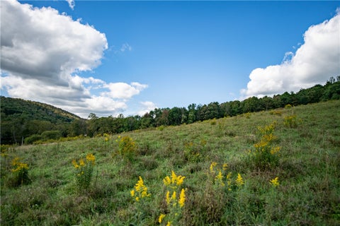 Tiny photo for 1352 County Highway 16, Delhi, NY 13753 (MLS # R1716158)