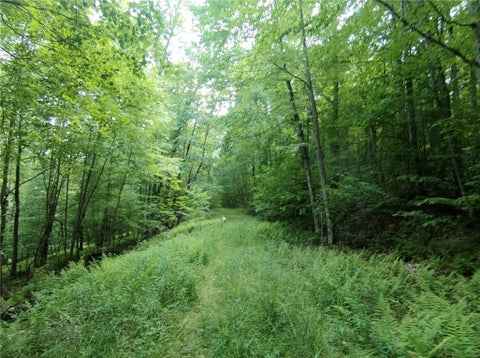 Tiny photo for 1352 County Highway 16, Delhi, NY 13753 (MLS # R1716158)