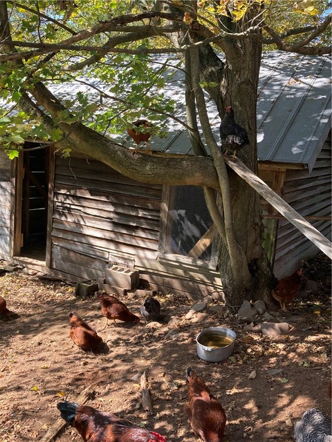 Tiny photo for 1352 County Highway 16, Delhi, NY 13753 (MLS # R1716158)
