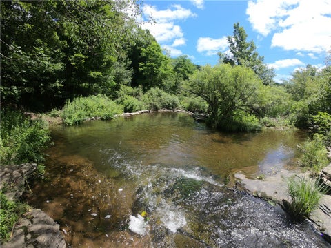 Tiny photo for 1352 County Highway 16, Delhi, NY 13753 (MLS # R1716158)