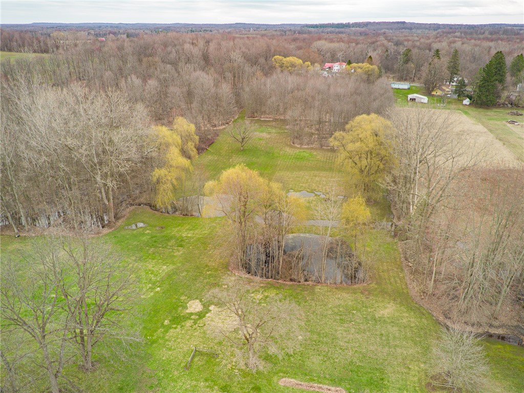 4204 Route 414 St, Rose, New York image 47