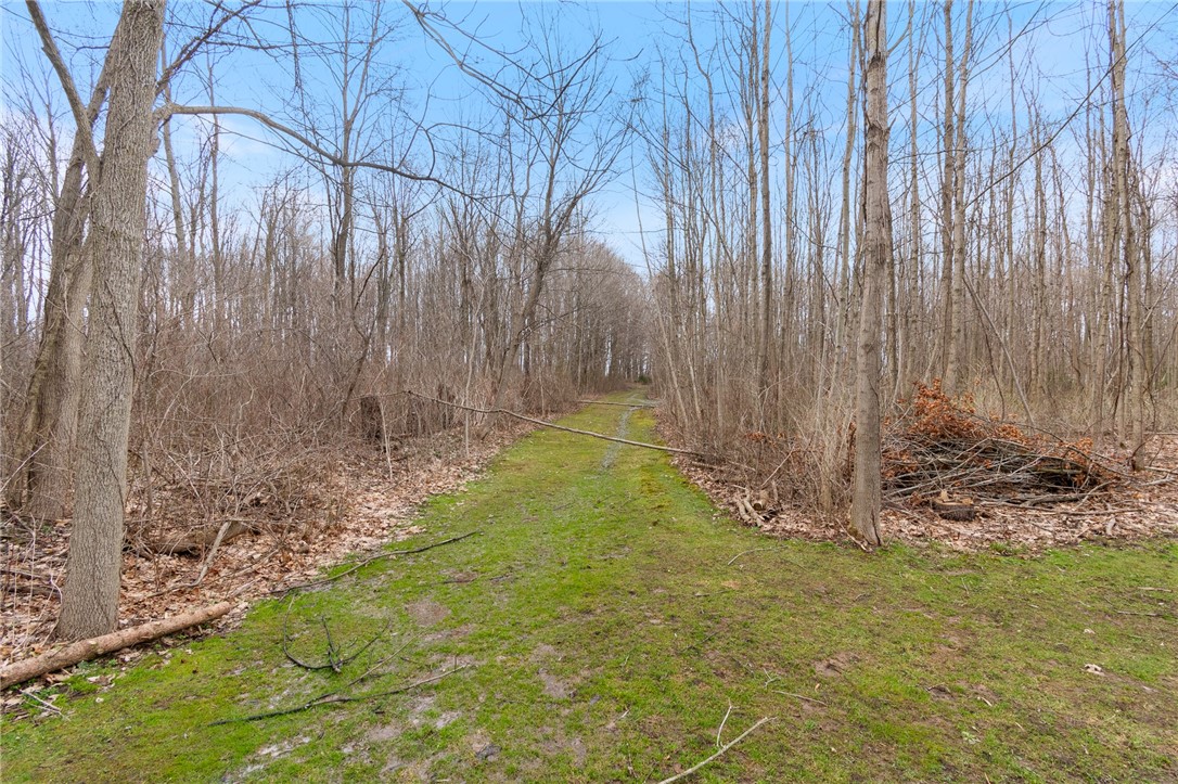 4204 Route 414 St, Rose, New York image 43