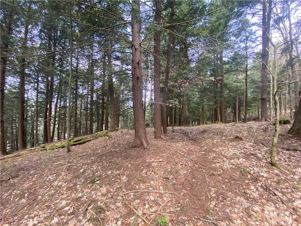 Lot B Piermott Lane, Hartwick, New York image 7