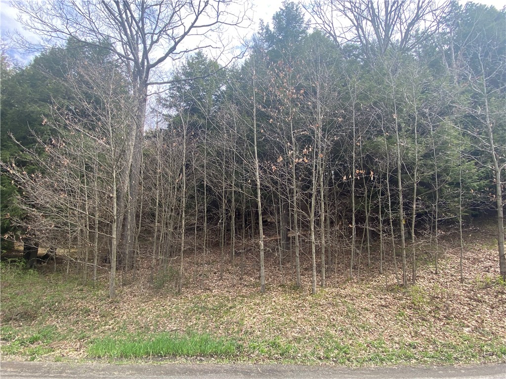 Lot B Piermott Lane, Hartwick, New York image 2