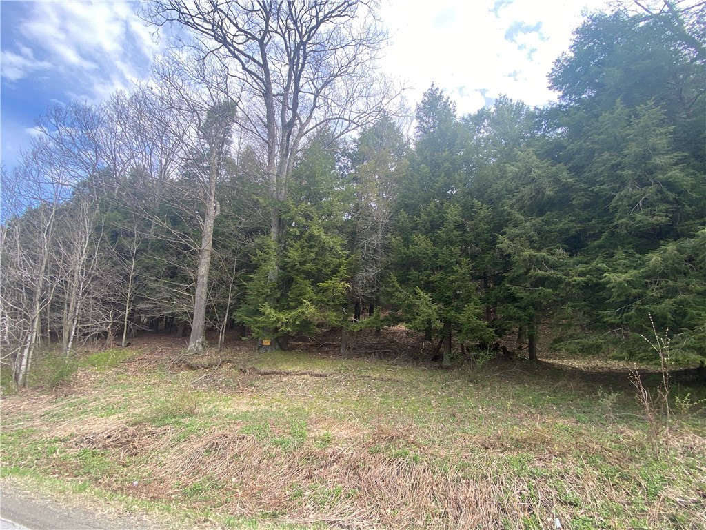 Lot B Piermott Lane, Hartwick, New York image 1