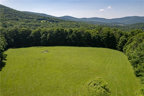 Vacant Land For Sale - LOT 43 Tower Mountain Road<br/> Delaware County, Stamford, NY 12167