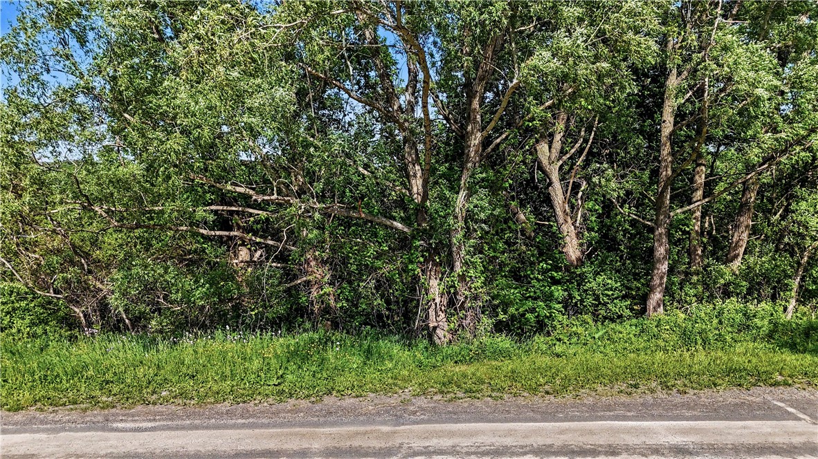 Case Road