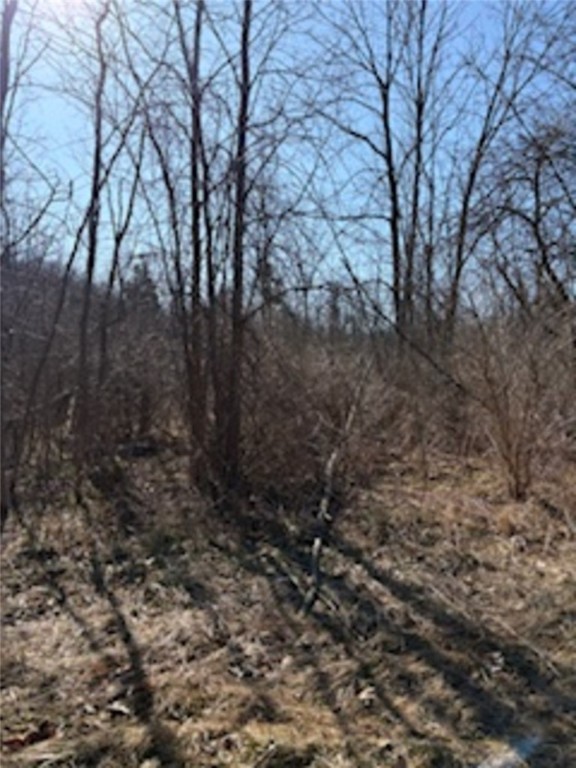 South Holley Road, Clarendon, New York image 2