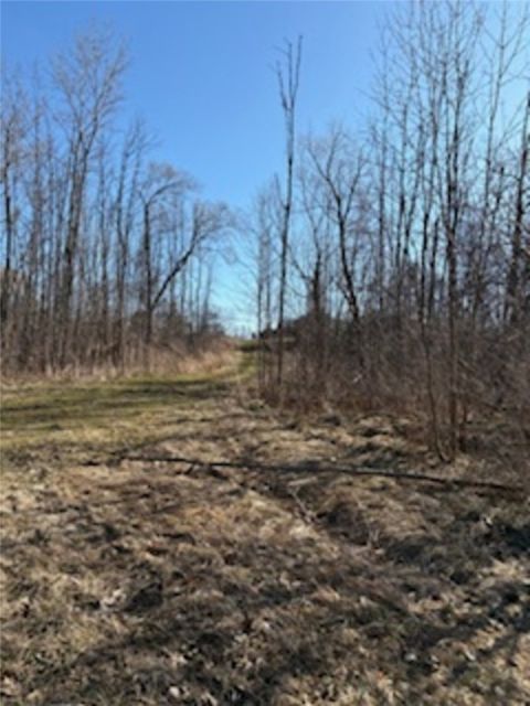 Vacant Land For Sale - South Holley Road<br/> Clarendon, NY 14429
