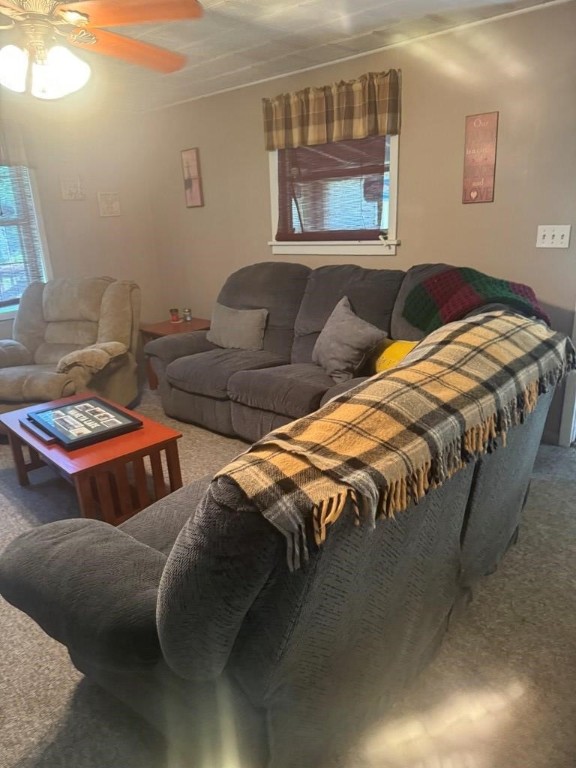 9862 W Bubspgs (bubbling Springs) Drive, Wayne, New York image 11