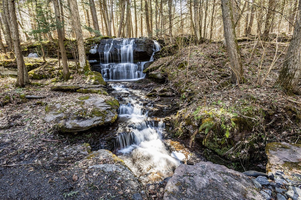 Bragg Hollow Road, Middletown, New York image 14