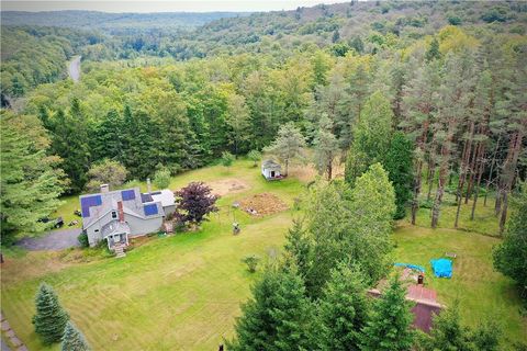 Homes For Sale - 669 Shandelee Road<br/> Callicoon, NY 12758