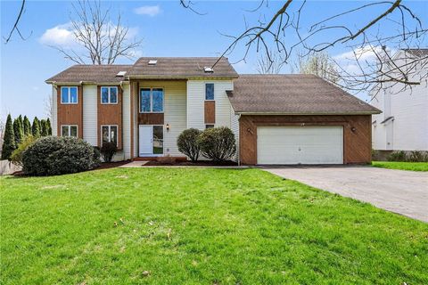 Featured picture for the property R1674779