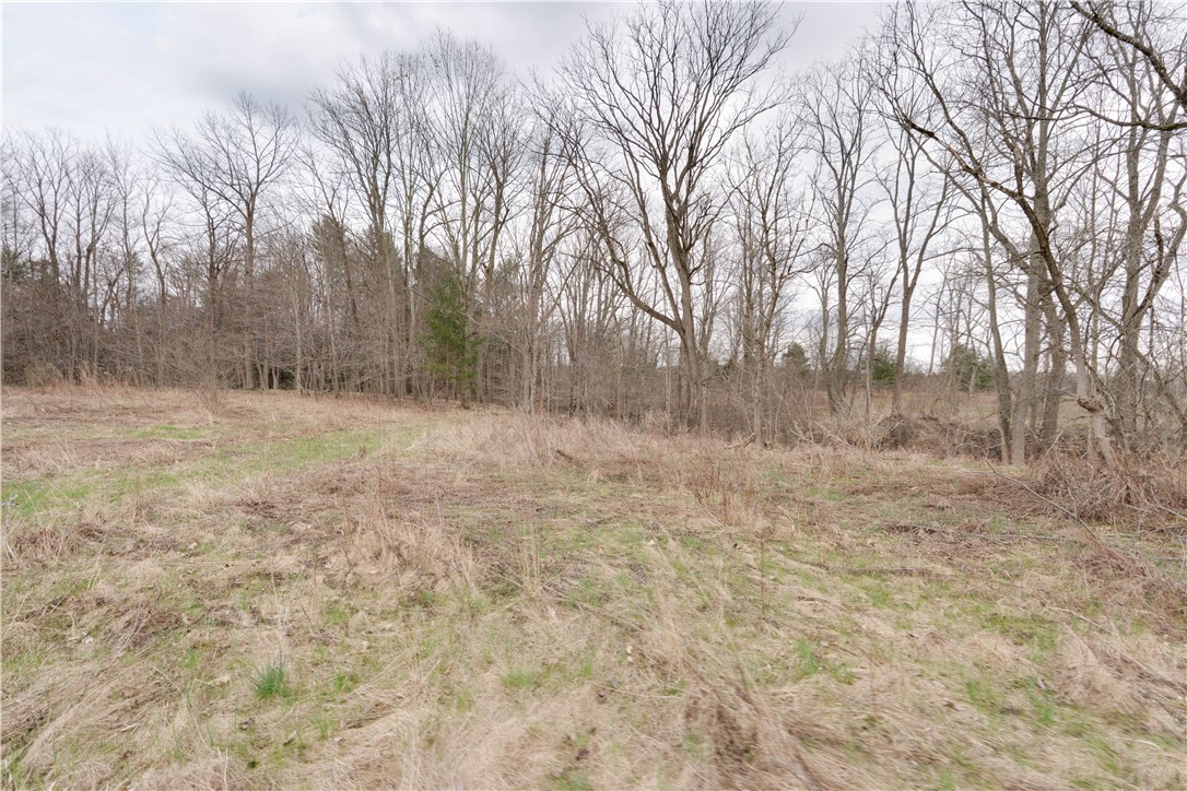 5829 Clark Road, Conesus, New York image 29
