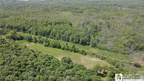 Vacant Land For Sale - S Stoc-cass<br/> Stockton, NY 14784